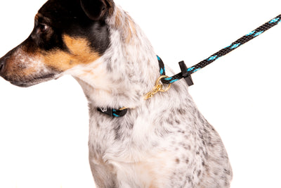 Mad Dog Products Dual Purpose Dog Leash - 3/8" Solid Braid